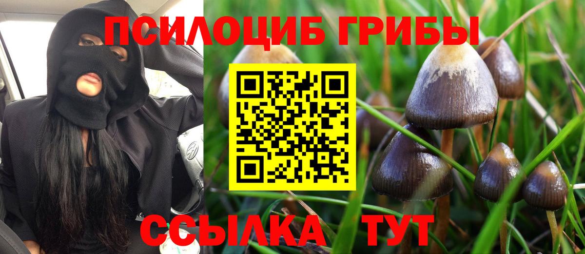 Псилоцибиновые грибы Magic Shrooms  Вход с VPN  Нефтекумск 