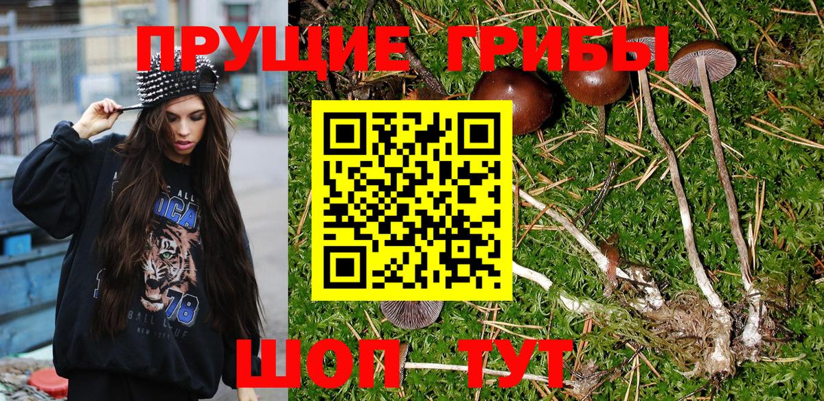 Галлюциногенные грибы MAGIC MUSHROOMS Нефтекумск